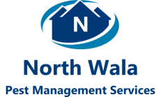 North Wala Logo